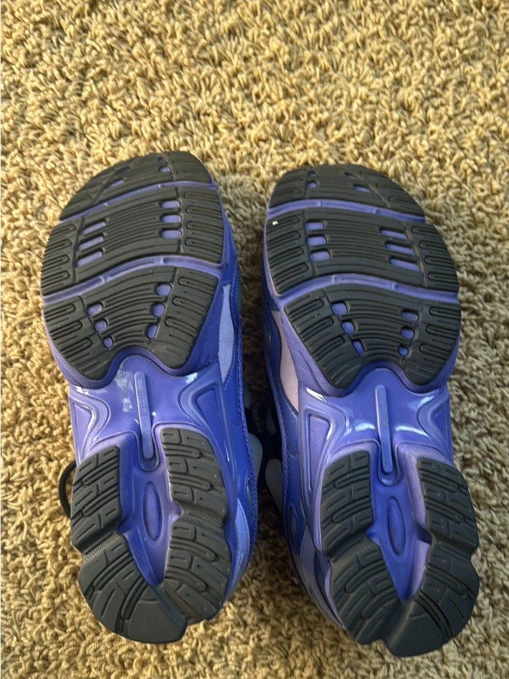 Adidas Raf Simons Ozweego 3